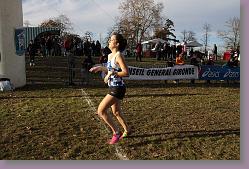 Begles 15.12.13 01 932 * 679 x 453 * (160KB)